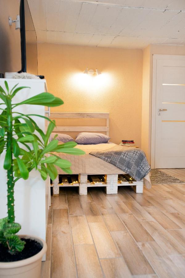 Apartment In Garage With Free Parking Каунас Екстериор снимка